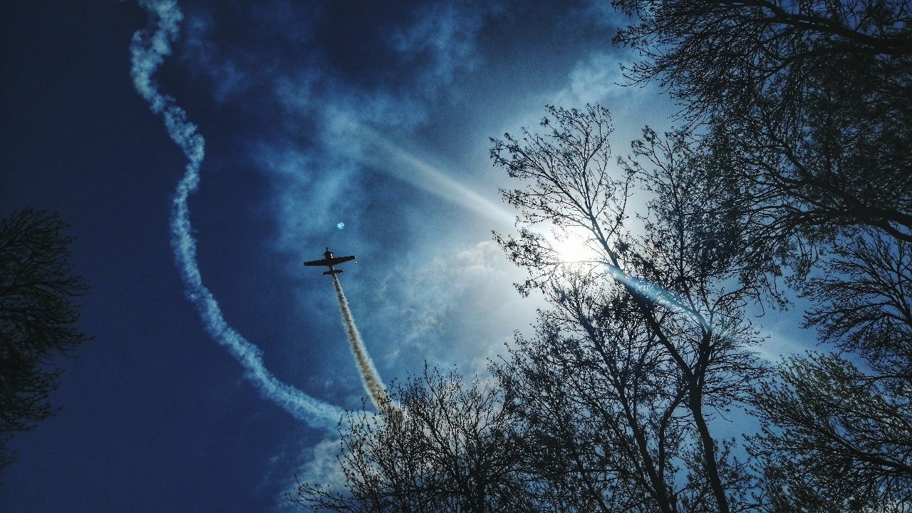 low angle view, cloud - sky, sky, tree, air vehicle, vapor trail, mode of transportation, nature, plant, flying, transportation, airplane, no people, silhouette, day, smoke - physical structure, beauty in nature, on the move, outdoors, mid-air, plane