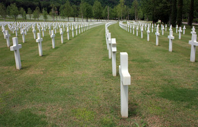 Row of cross at cemetery