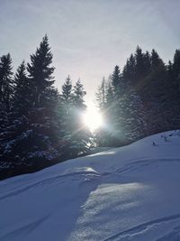 Snow covered mountain against sky