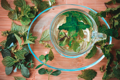 High angle view of plants in jar on table