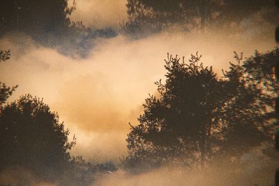 Silhouette trees against sky during sunset