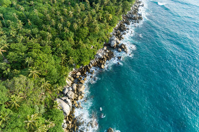 High angle view of rocks on beach