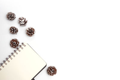 High angle view of spiral on white table