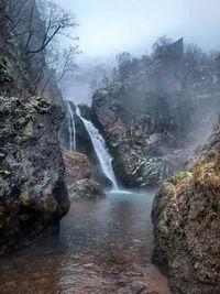 Scenic view of waterfall in forest