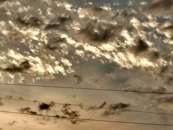 Low angle view of birds against sky