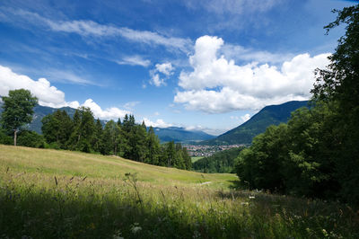 Scenic view of landscape against sky