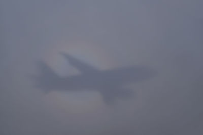 Low angle view of airplane flying in sky