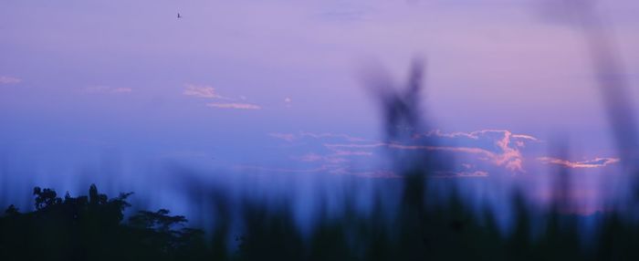 Blurred motion of silhouette trees against sky at dusk