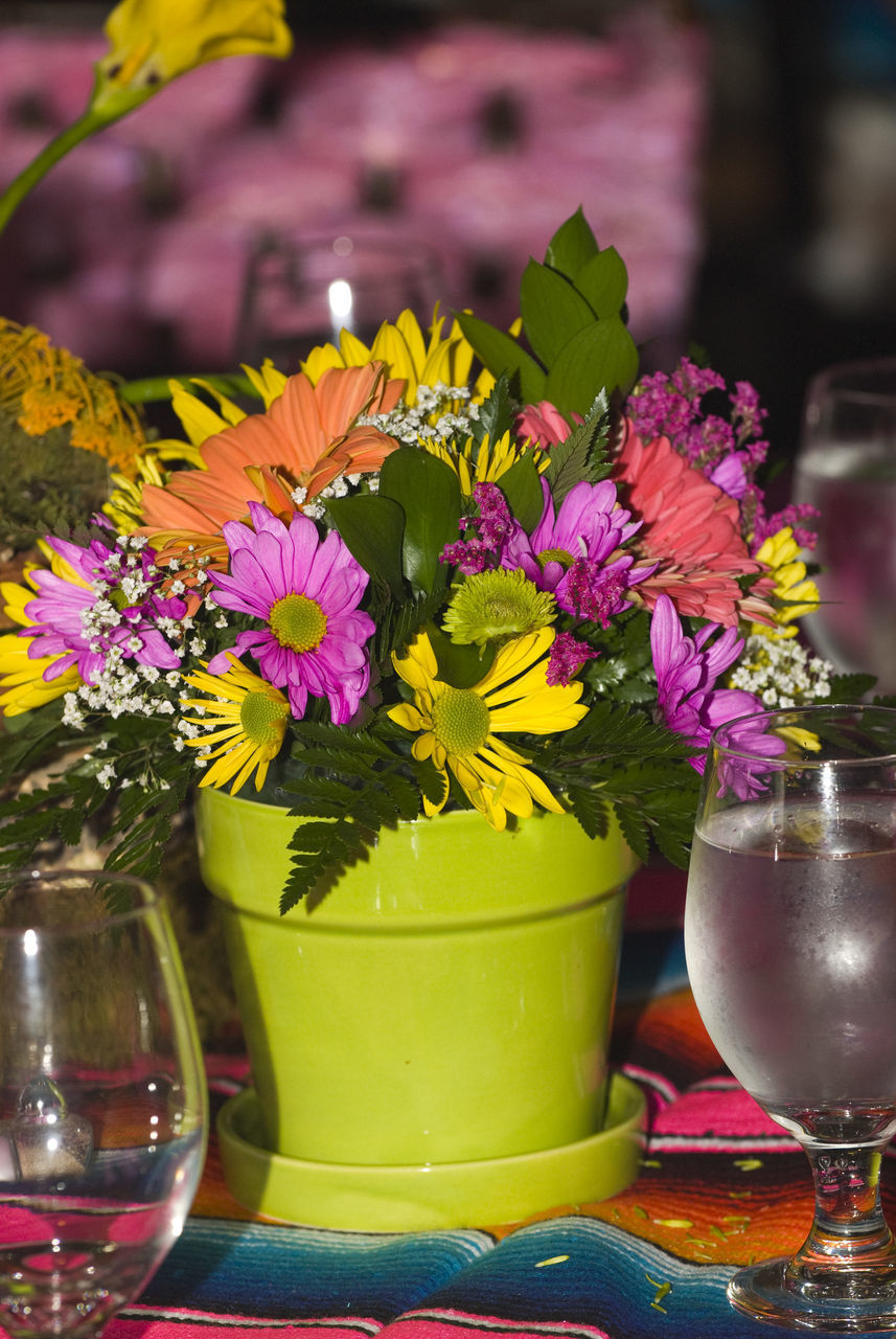 CLOSE-UP OF FRESH PURPLE FLOWERS ON TABLE