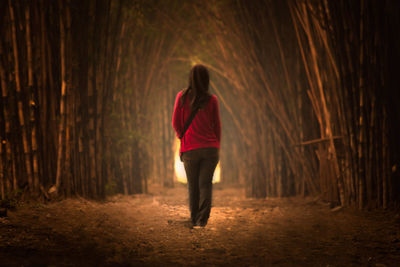 Rear view of woman standing in forest at night