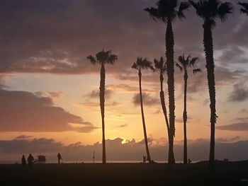 Silhouette of palm trees at sunset