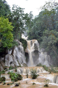 View of waterfall in forest