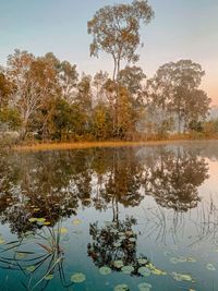 Reflection of trees in lake against sky