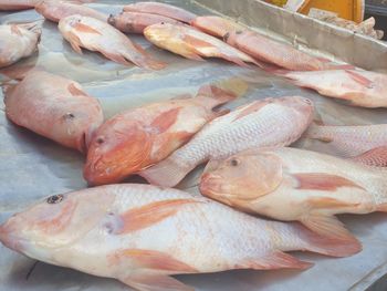 High angle view of fish for sale in market