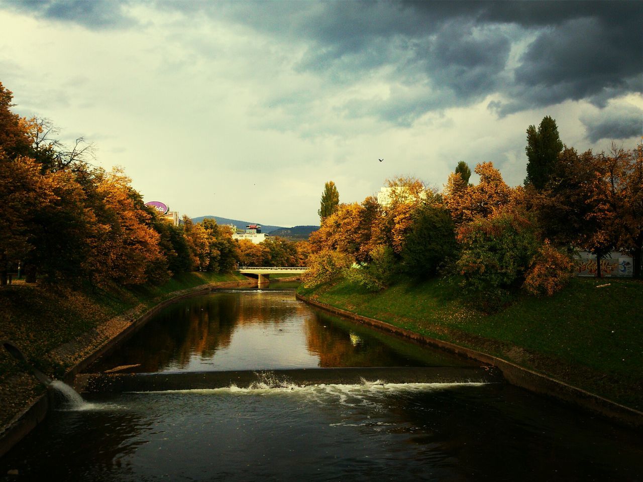 tree, water, sky, reflection, tranquility, cloud - sky, tranquil scene, river, canal, lake, beauty in nature, nature, scenics, waterfront, cloud, growth, cloudy, autumn, day, stream