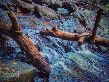 Rock formation in forest