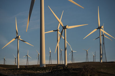 Windmills on field against sky