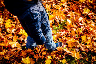 Low section of person standing on field during autumn