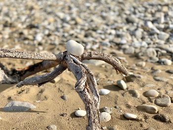 High angle view of ropes on sand