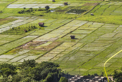 High angle view of agricultural field