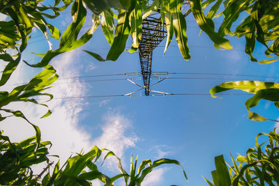 Low angle view of tree against sky