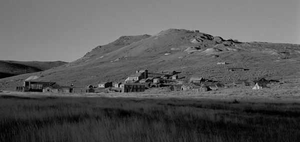 Scenic view of field against clear sky