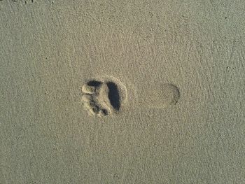 High angle view of footprint at sandy beach