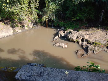 High angle view of rocks by lake