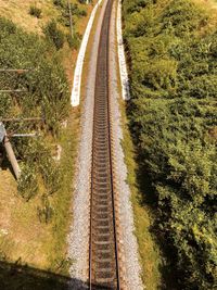 High angle view of railroad tracks surrounded by trees and bushes 