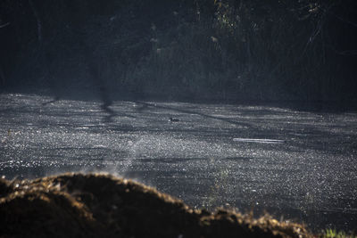 View of road in forest during winter