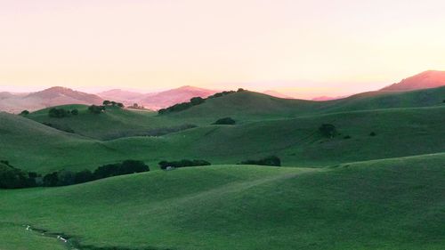 Scenic view of green landscape against sky