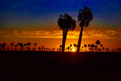 Silhouette palm trees on beach against sky during sunset