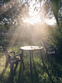 Chairs and table by trees in forest