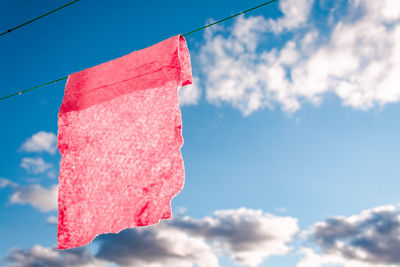 Close-up of red pink flower against sky