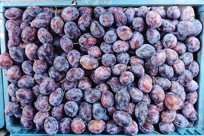 High angle view of blackberries for sale at market