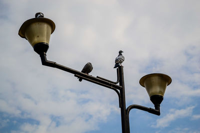 Low angle view of street light against sky