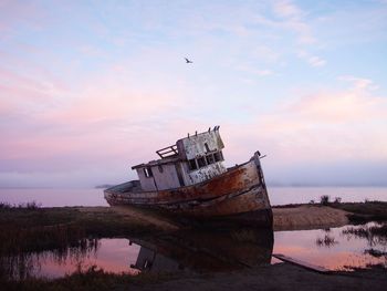 Abandoned shipwreck found at point reyes during sunrise