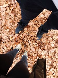 Low section of man standing on autumn leaves