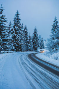 Snow covered road amidst trees against sky