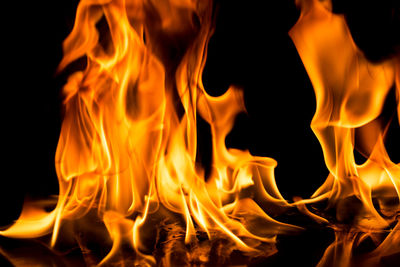 Close-up of bonfire