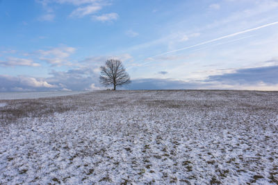 Scenic view of field against sky during winter