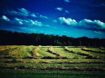 Scenic view of agricultural field against sky