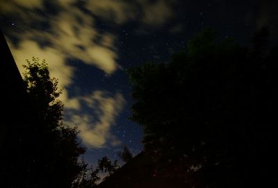 Low angle view of silhouette trees against sky at night