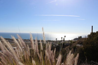 Panoramic view of sea against sky