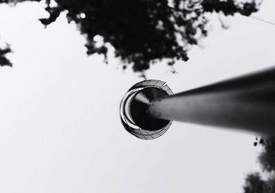 Close-up low angle view of tree against sky