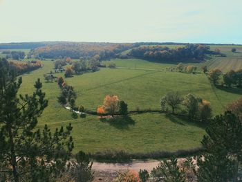 Scenic view of field against sky