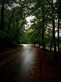 Road amidst trees in forest