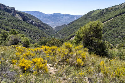 Scenic view of landscape and mountains against sky. sierra nevada, laujar de andarax, almería, spain