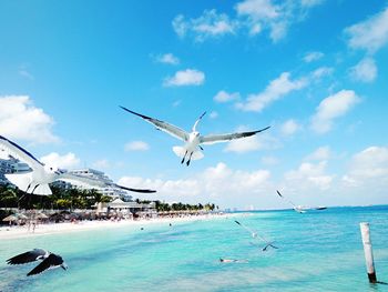 Airplane flying over sea against blue sky