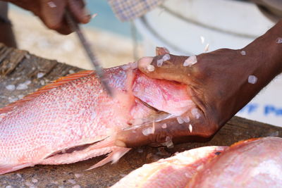 Cropped image of hands cutting fish at market